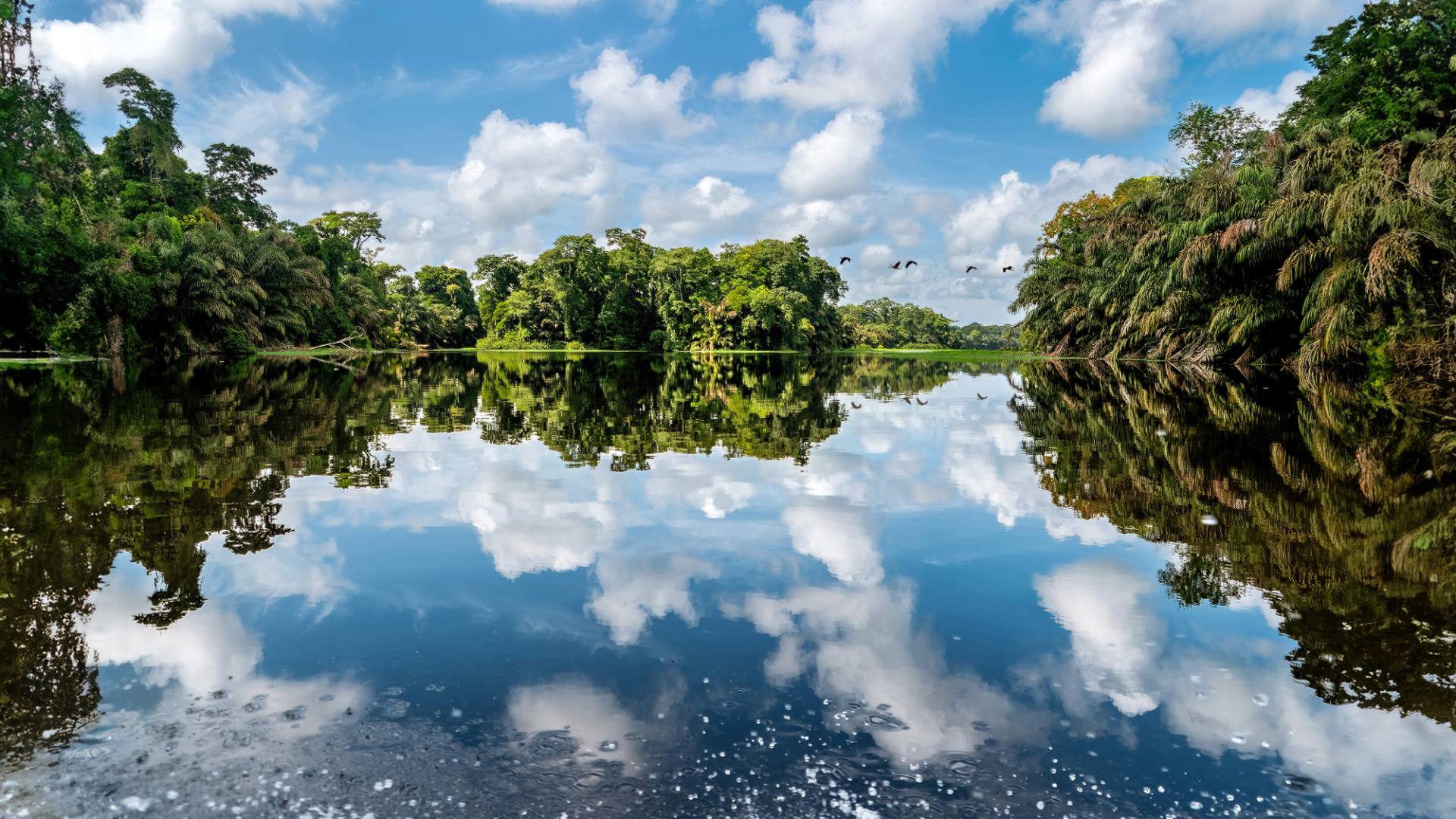 Bootsfahrt im NP Tortuguero